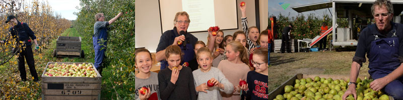 Inspirerend Voorbeeld Fruitbedrijf Wim Notermans